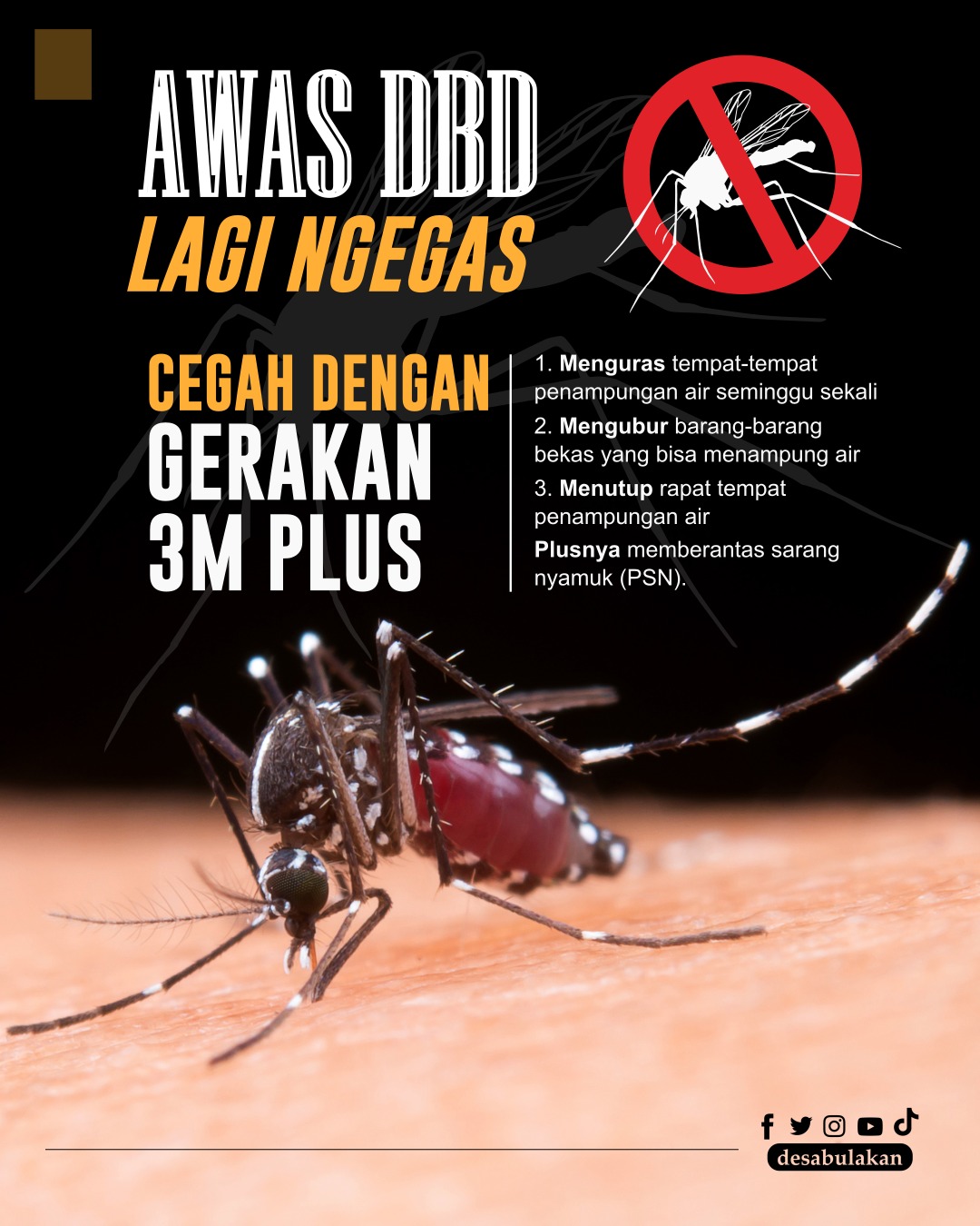 Waspada DBD