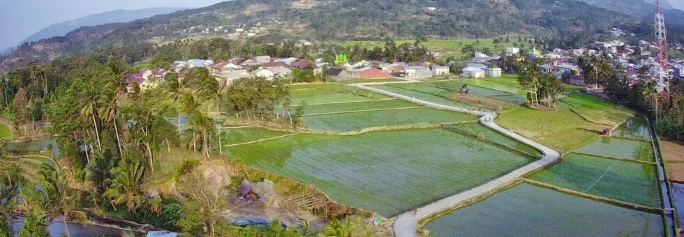 Pemandangan area persawahan Desa Kolla